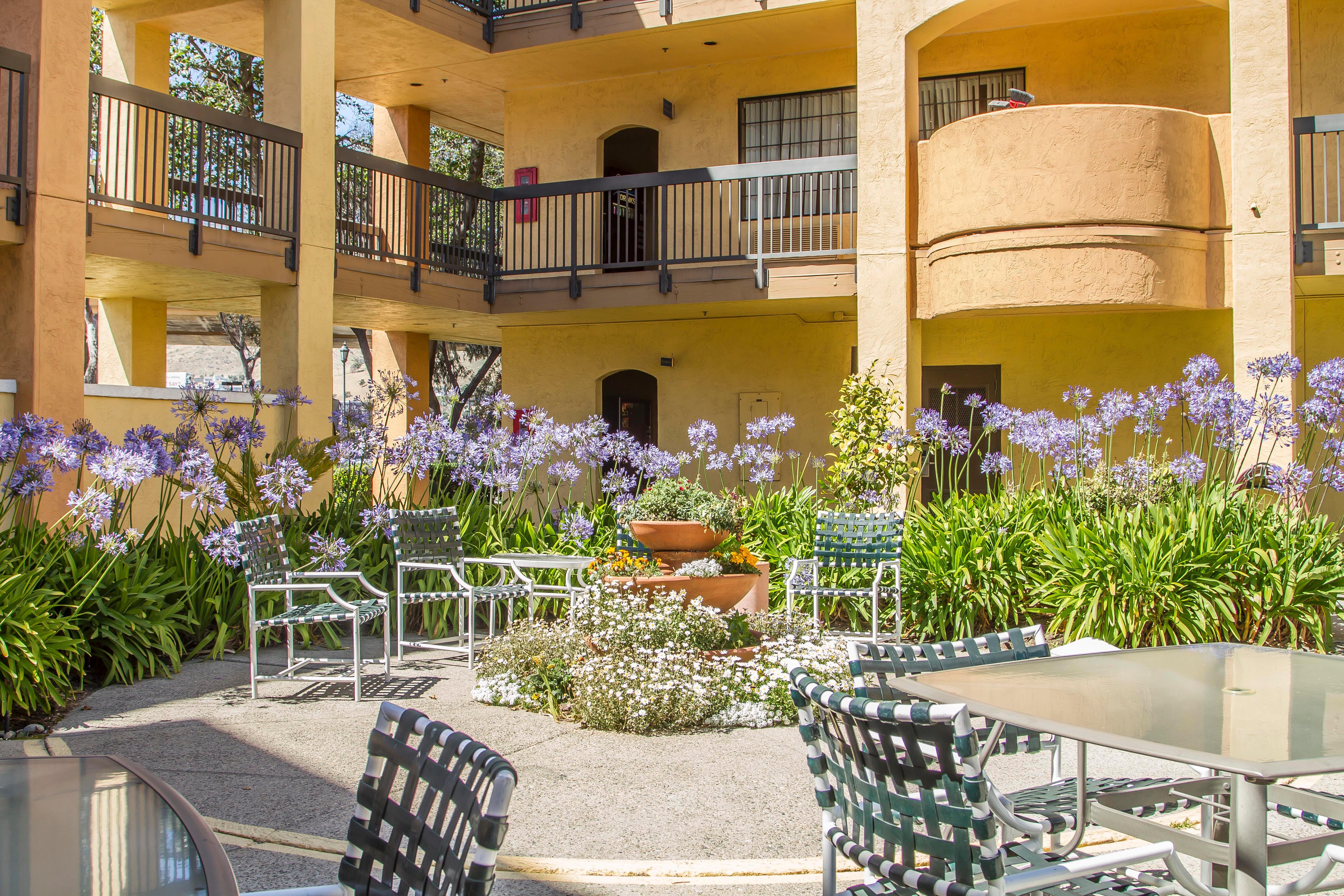 Comfort Inn & Suites San Francisco Airport North Саут Сан Франциско Екстериор снимка