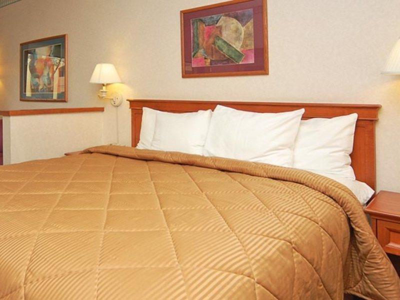 Comfort Inn & Suites San Francisco Airport North Саут Сан Франциско Екстериор снимка